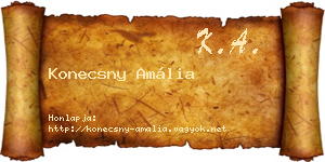 Konecsny Amália névjegykártya